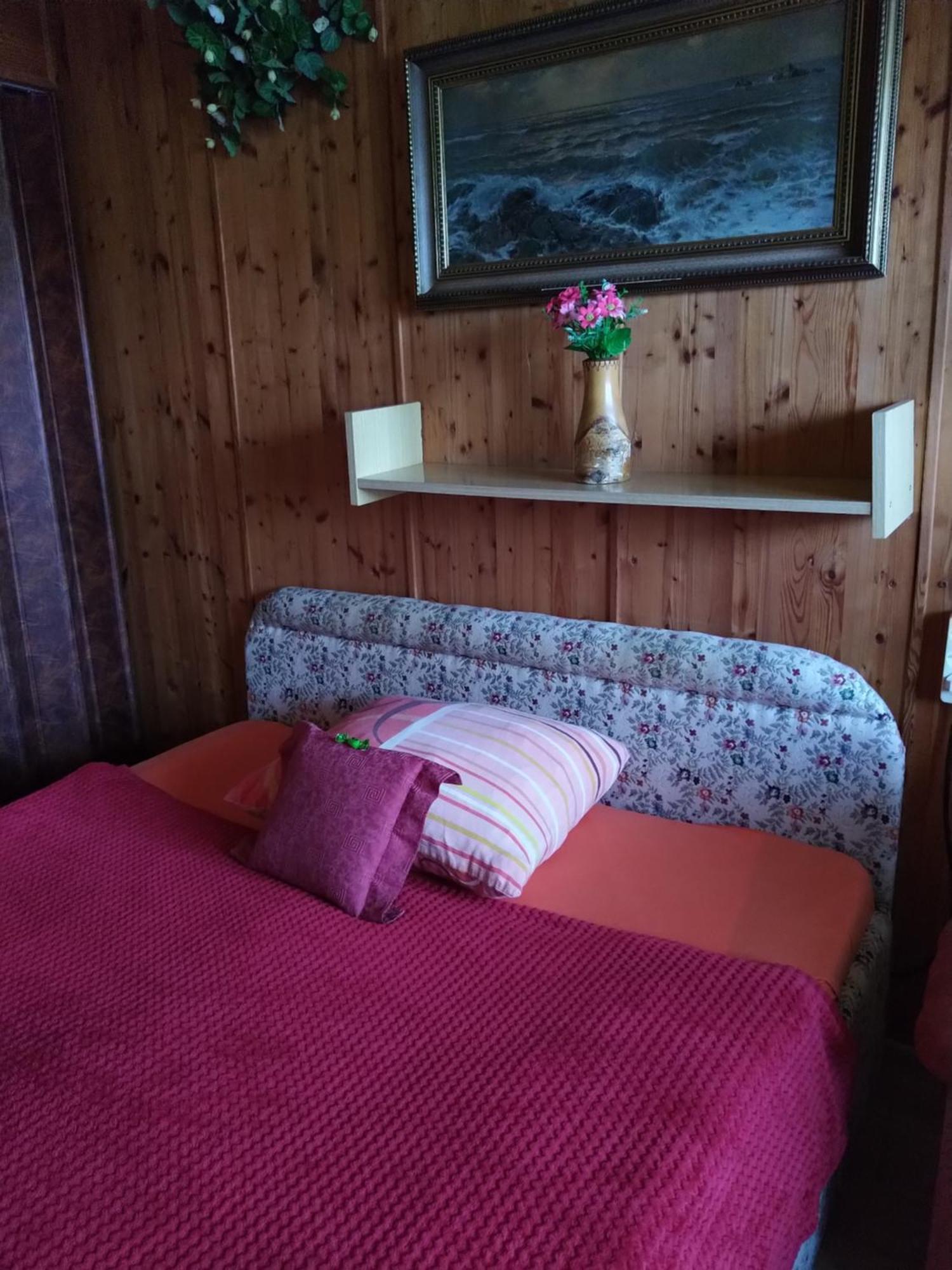 Pension Nika Český Krumlov المظهر الخارجي الصورة
