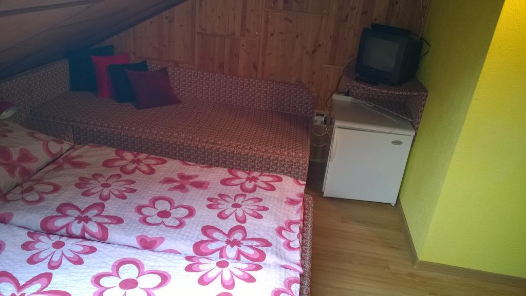 Pension Nika Český Krumlov المظهر الخارجي الصورة