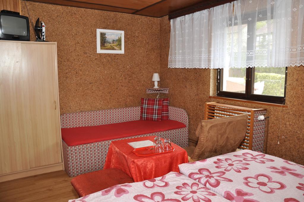 Pension Nika Český Krumlov المظهر الخارجي الصورة