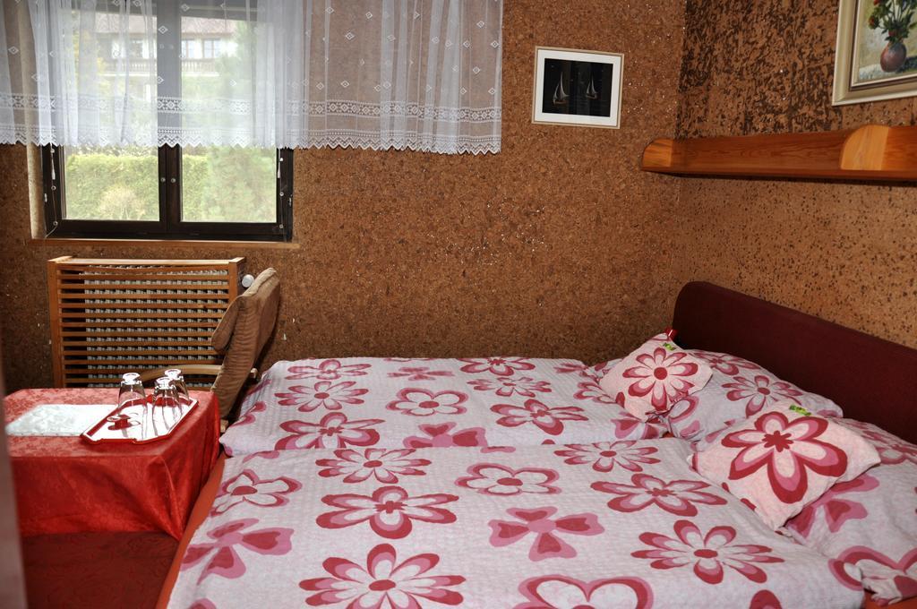 Pension Nika Český Krumlov المظهر الخارجي الصورة